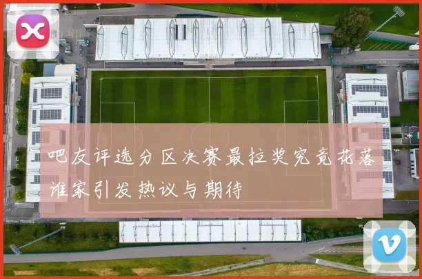 吧友评选分区决赛最拉奖究竟花落谁家引发热议与期待