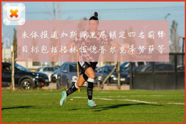 米体报道加斯佩里尼锁定四名前锋目标包括格林伍德齐尔克泽努萨等人